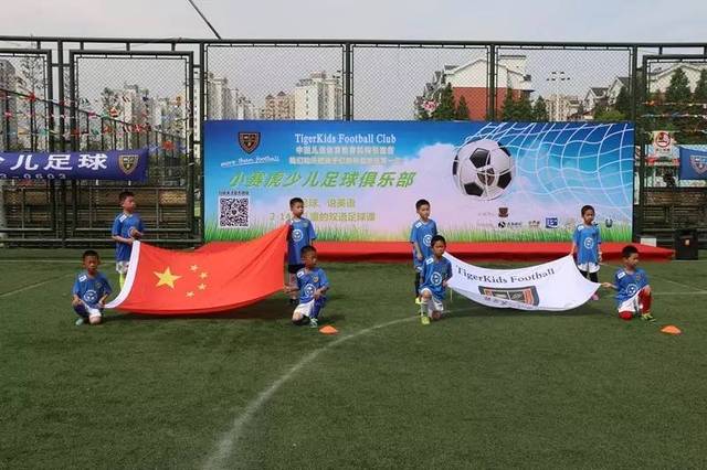 一个鲜明的 一个鲜明的